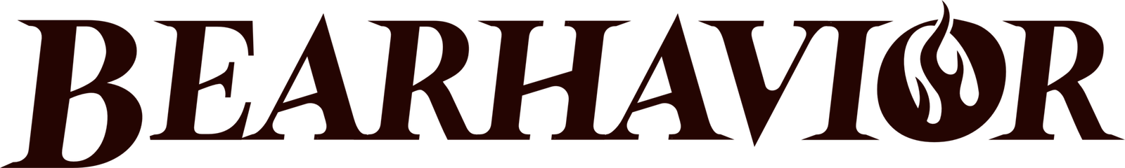 bearhavior